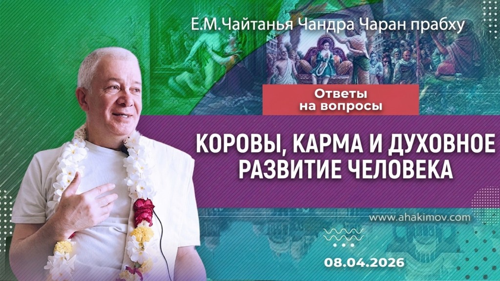 2026.04.08, Ответы на вопросы. Коровы, карма и духовное развитие человека