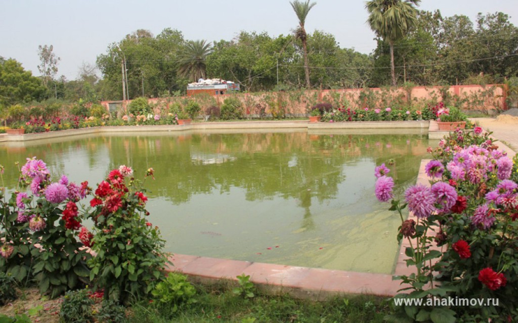 2014 Маяпур, Индия