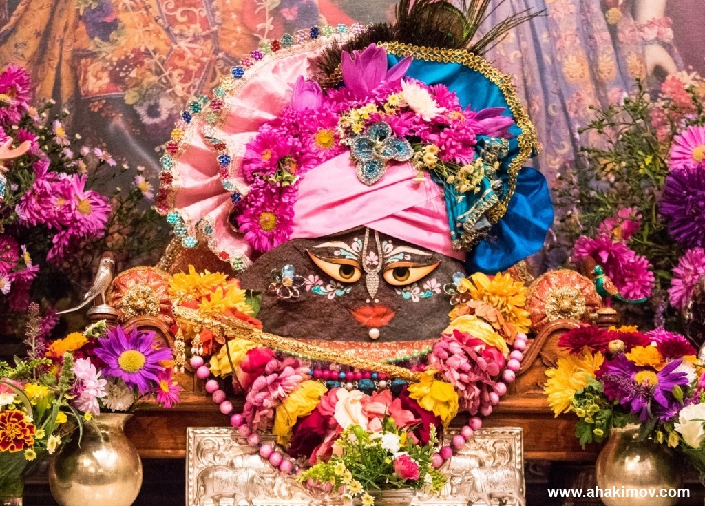 2018 Алматы, Радхаштами