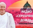 Серебрянный дождь Серебрянный дождь