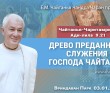 2025.01.03, Вриндаван Парк, Чайтанья–Чаритамрита, Ади–Лила, 9.21, Древо преданного служения Господа Чайтаньи