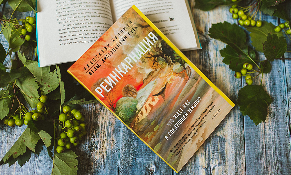 О книге "Реинкарнация. Размышления" О книге "Реинкарнация. Размышления"