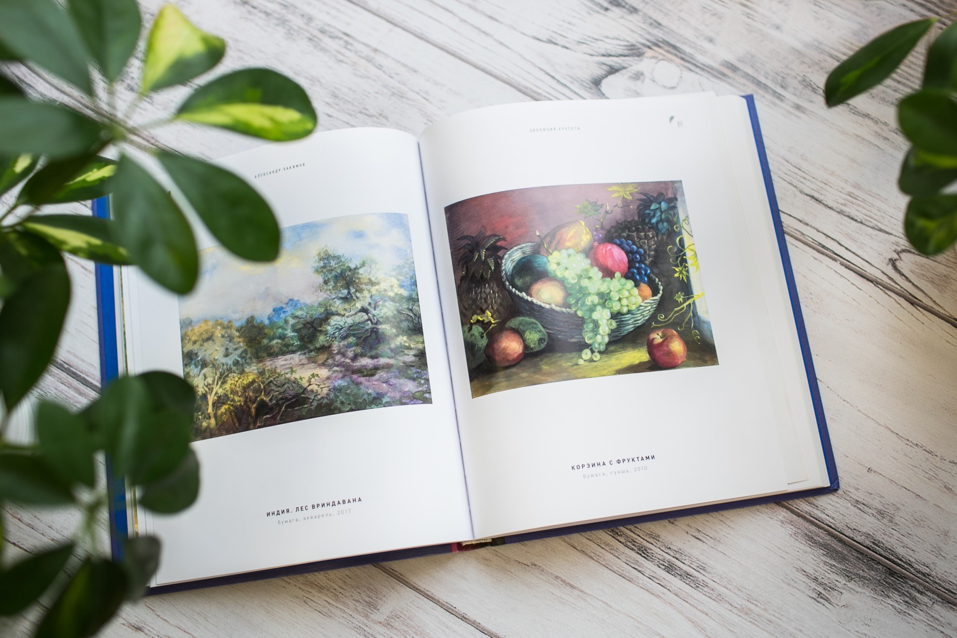 О книге "Эволюция красоты" О книге "Эволюция красоты"