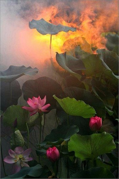 Добавлены аудио и видео материалы с вебинара "Что такое греховность. Как понять свою греховность", который проходил 06 июня 2015 г Добавлены аудио и видео материалы с вебинара "Что такое греховность. Как понять свою греховность", который проходил 06 июня 2015 г