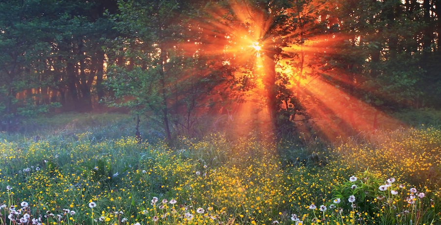 Добавлена статья "Настоящая любовь не кончается" Добавлена статья "Настоящая любовь не кончается"