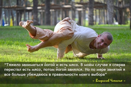 Вегетарианство - как способ счастливой жизни Вегетарианство - как способ счастливой жизни