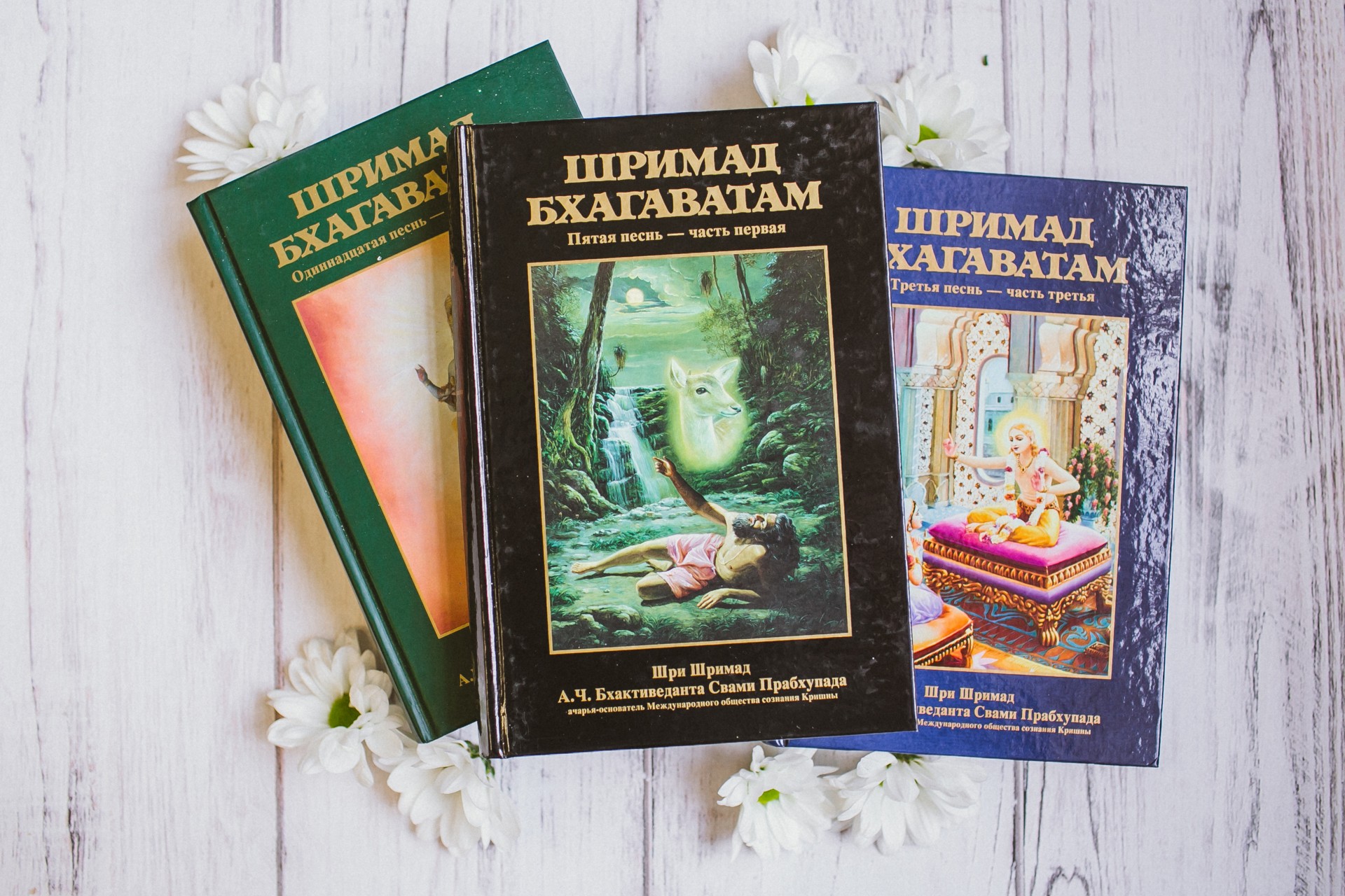 О книге "Шримад-Бхагаватам 3.1" О книге "Шримад-Бхагаватам 3.1"