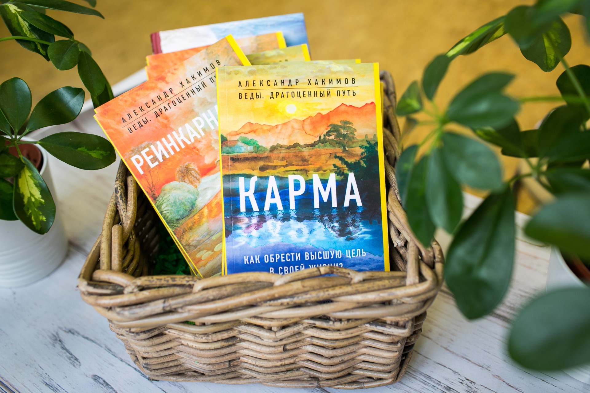 О книге "Реинкарнация. Размышления"