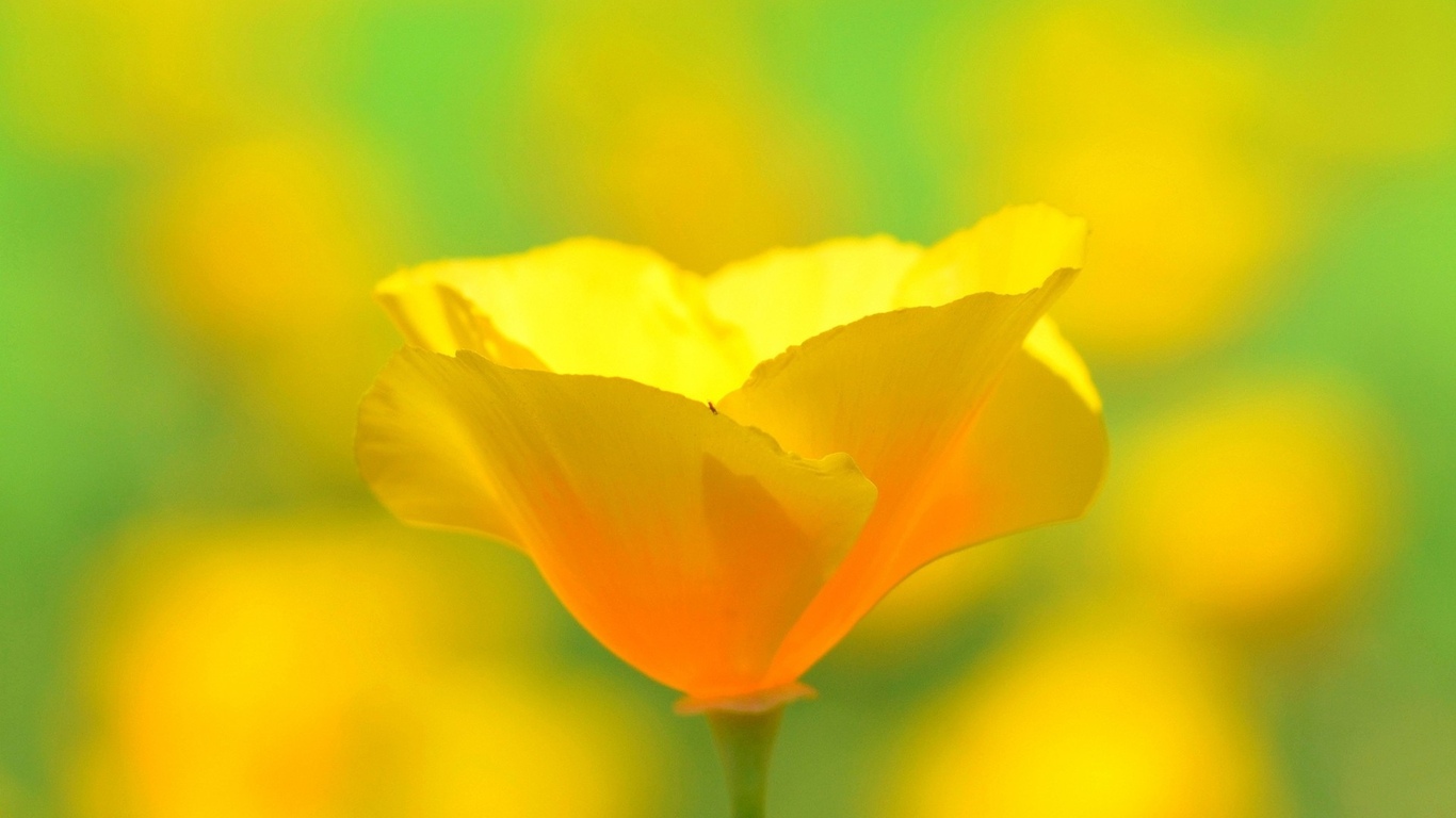 Добавлены аудио и видео материалы с лекции "Познание своей истинной природы" по книге "Шримад-Бхагаватам", песнь 4, глава 7, стих 30, которая проходила 6 июня 2016 г в Омске. Добавлены аудио и видео материалы с лекции "Познание своей истинной природы" по книге "Шримад-Бхагаватам", песнь 4, глава 7, стих 30, которая проходила 6 июня 2016 г в Омске.