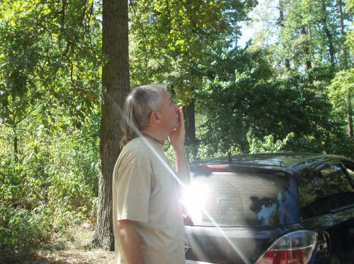 В раздел "Видео" добавлены видеоцитаты с мудрыми ответами на 94 вопроса В раздел "Видео" добавлены видеоцитаты с мудрыми ответами на 94 вопроса