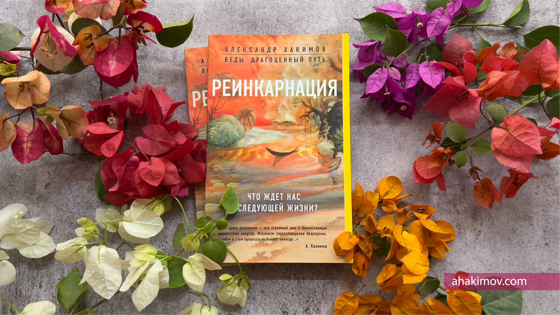 О книге "Реинкарнация. Размышления"