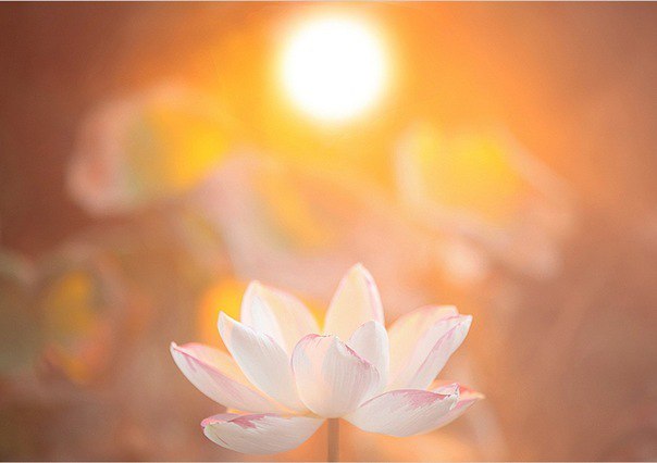 В раздел «Веды и современность» добавлен материал «4 принципа чистоты в современном мире» В раздел «Веды и современность» добавлен материал «4 принципа чистоты в современном мире»