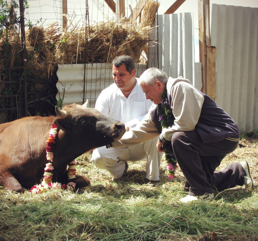 Добавлена статья "О вегетарианстве" Добавлена статья "О вегетарианстве"