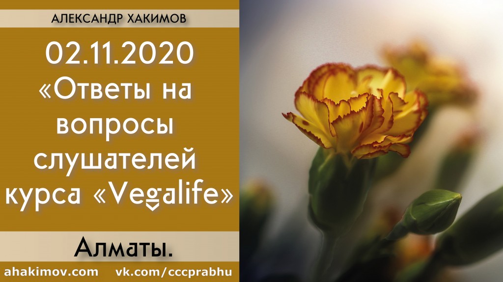 Добавлены ответы на вопросы слушателей курса «Vegalife», которые состоялись 2 ноября 2020 года Добавлены ответы на вопросы слушателей курса «Vegalife», которые состоялись 2 ноября 2020 года