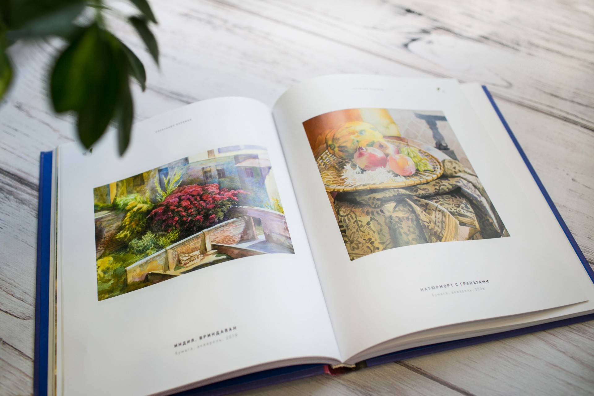 О книге "Эволюция красоты" О книге "Эволюция красоты"