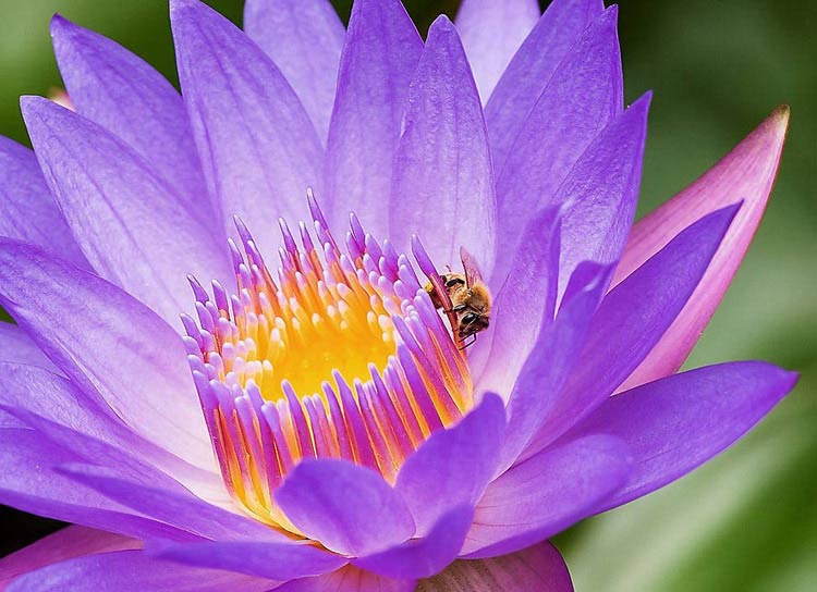 Добавлена статья "Познай себя!"