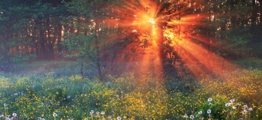 Добавлена статья "Настоящая любовь не кончается"