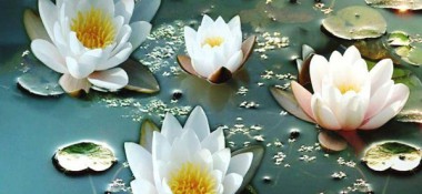 В разделе "Статьи" размещена лекция "Четыре цели"