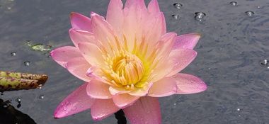 В разделе "Статьи" добавлен отрывок из книги "Карма. Размышления"