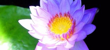 В разделе "Лекции/Семинары" добавлен семинар "Наука самосознания".