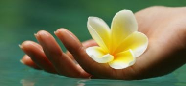 В разделе "Статьи" размещена лекция "Аюрведа - три метода лечения"