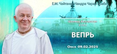 Добавлена лекция «Вепрь» по книге «Шримад-Бхагаватам», песнь 3, глава 13, стих 1, прочитанная в Омске 9 февраля 2025 года