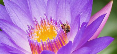 Добавлена статья "Познай себя!"