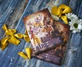 О книге "Ещё один шанс"