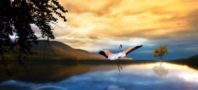 "Ведические предсказания. Новый взгляд в будущее". Глава 5, часть 3 Махабхарата. Глава тридцать четвертая "Озеро смерти". Часть 3